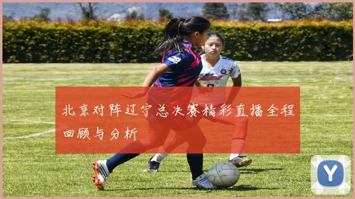 北京对阵辽宁总决赛精彩直播全程回顾与分析